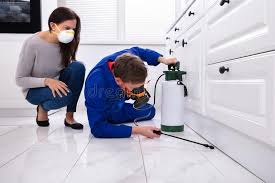 Best Pest Control for Multi-Family Homes  in Buford, GA